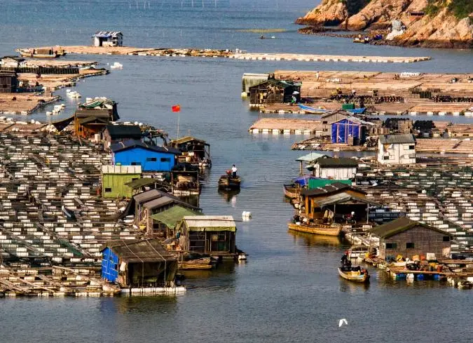 98110cf9a0cc2a834b12db75c15d636e-sz_94137 98110cf9a0cc2a834b12db75c15d636e-sz_94137