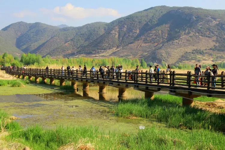 982f642e9a1aed8ee168779e53938a14-sz_80970