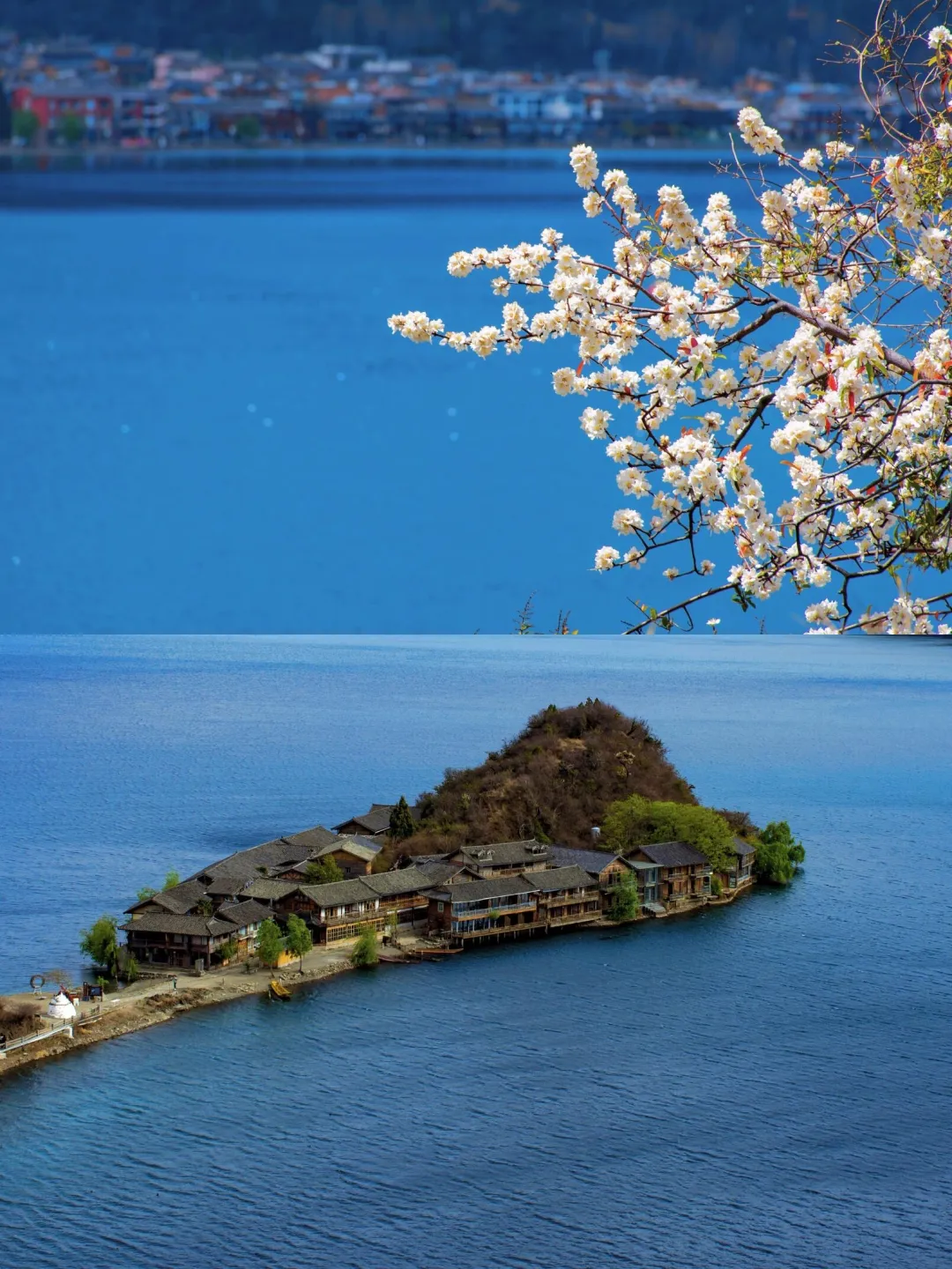 9839cc95efadc919edf882769f229c86-sz_793230