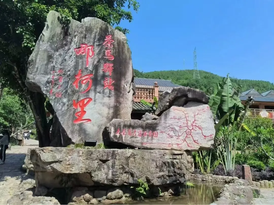 9846cb8c07c8917231796b75f10f3da3-sz_299170