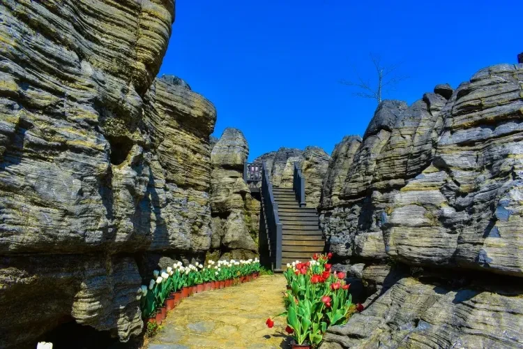 984a62179f2a7406610583c344e61cbd-sz_250622 984a62179f2a7406610583c344e61cbd-sz_250622