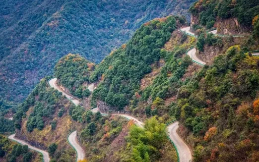 984c141225db345306fcb172b5f432f3-sz_476188