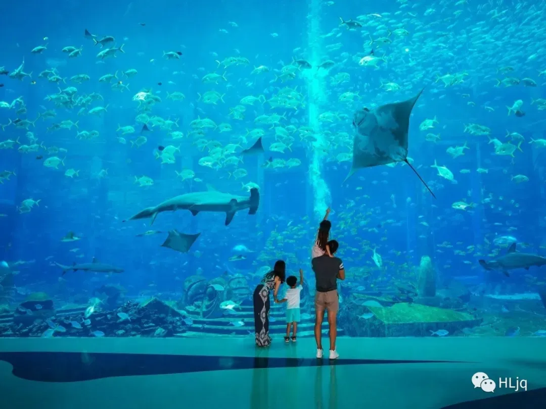 985a5ff93d3e06b6030570d92f541bfa-sz_453017 985a5ff93d3e06b6030570d92f541bfa-sz_453017