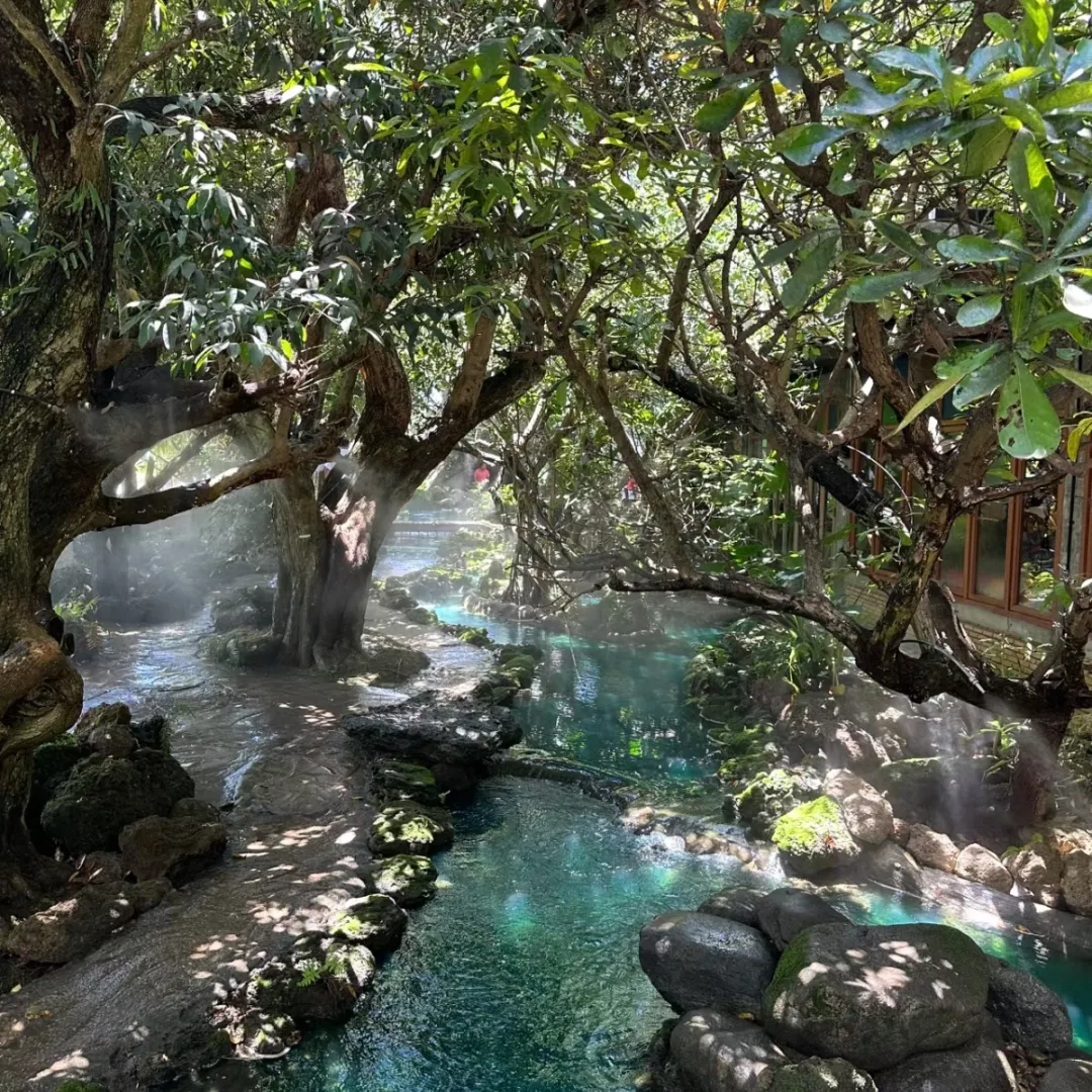 986a538855c6342990efc8eb8d5ad009-sz_1656269 986a538855c6342990efc8eb8d5ad009-sz_1656269