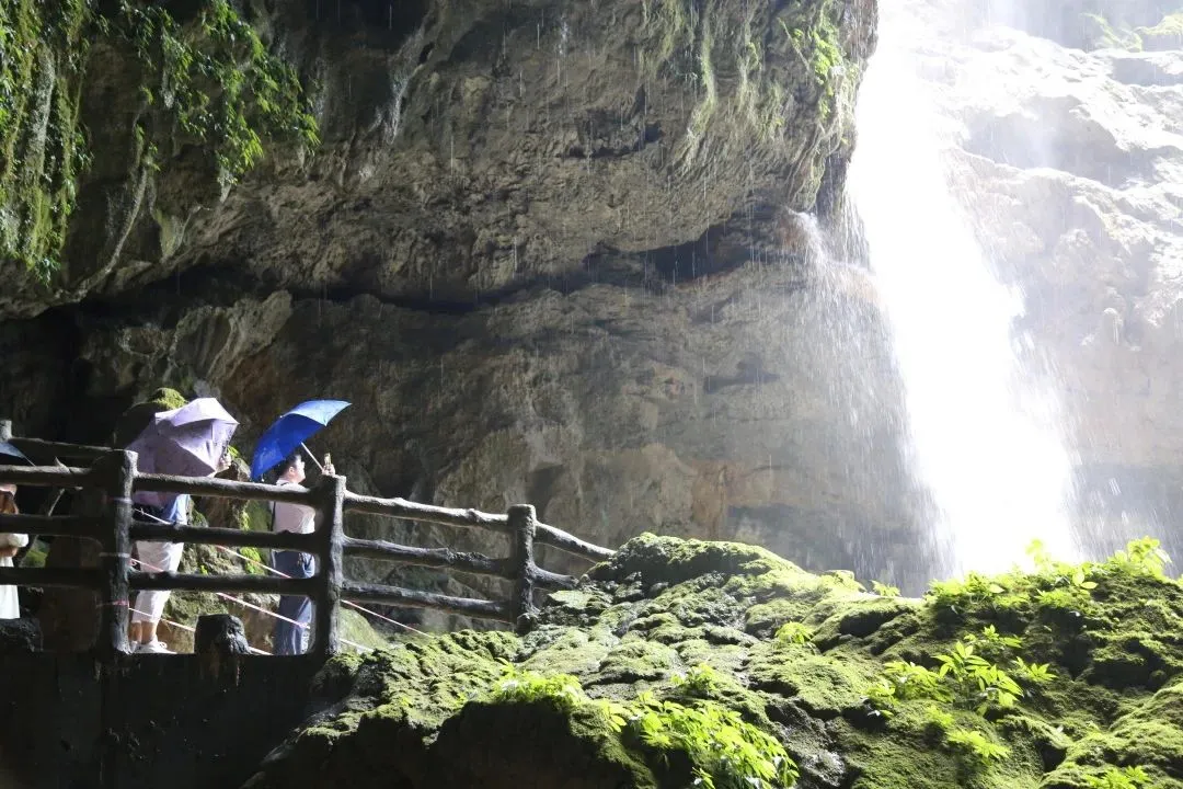 9874d544c2ba3c16de4af10ef6b13e44-sz_1548276 9874d544c2ba3c16de4af10ef6b13e44-sz_1548276