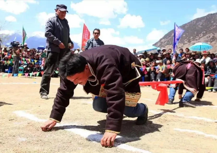 988046ce9e50b85e6ef0d3abc62f0c7d-sz_963362