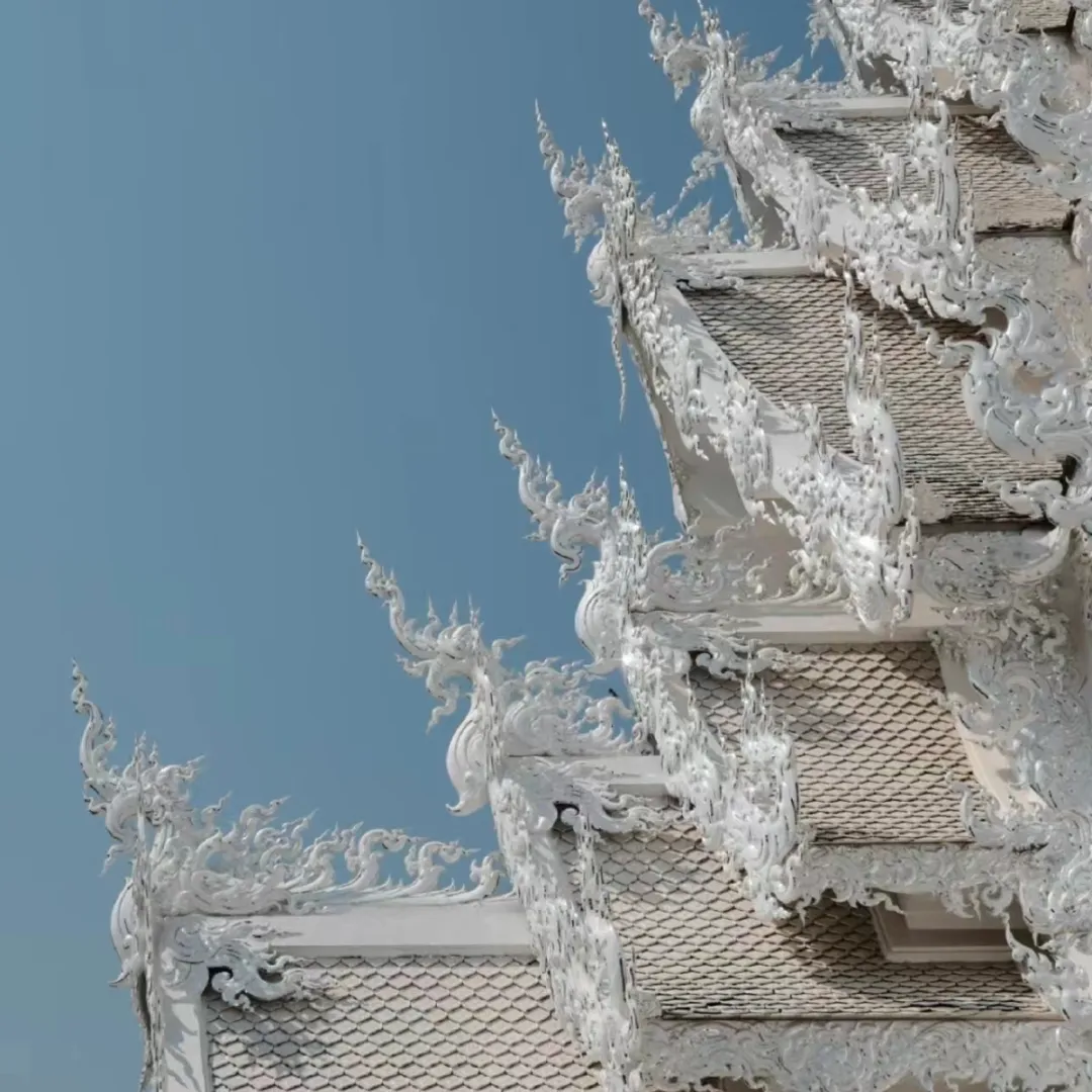 9885d6d9bdd79049982d018a50097d4b-sz_772617 9885d6d9bdd79049982d018a50097d4b-sz_772617