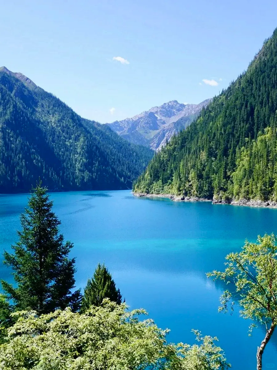 989a598d3073bc7ee2c6c65b4af2e7b9-sz_1615774 989a598d3073bc7ee2c6c65b4af2e7b9-sz_1615774