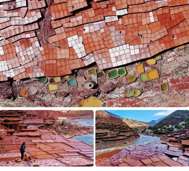 989c8b844afd2c524c311be4521b9b99-sz_779665 989c8b844afd2c524c311be4521b9b99-sz_779665