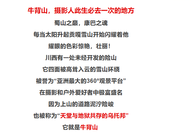 98b6d11ab6e73405b756db21de55b704