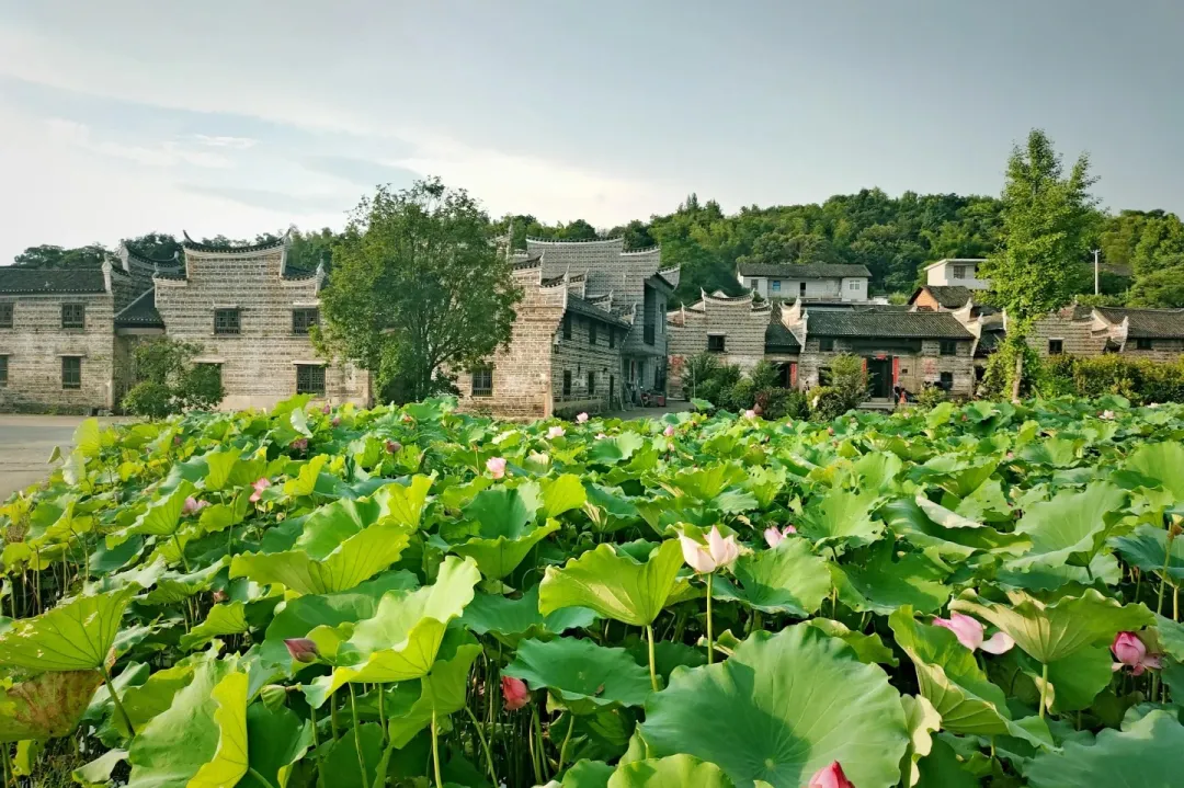 98dd34e27afa4e2190edc1e546cec330-sz_514462