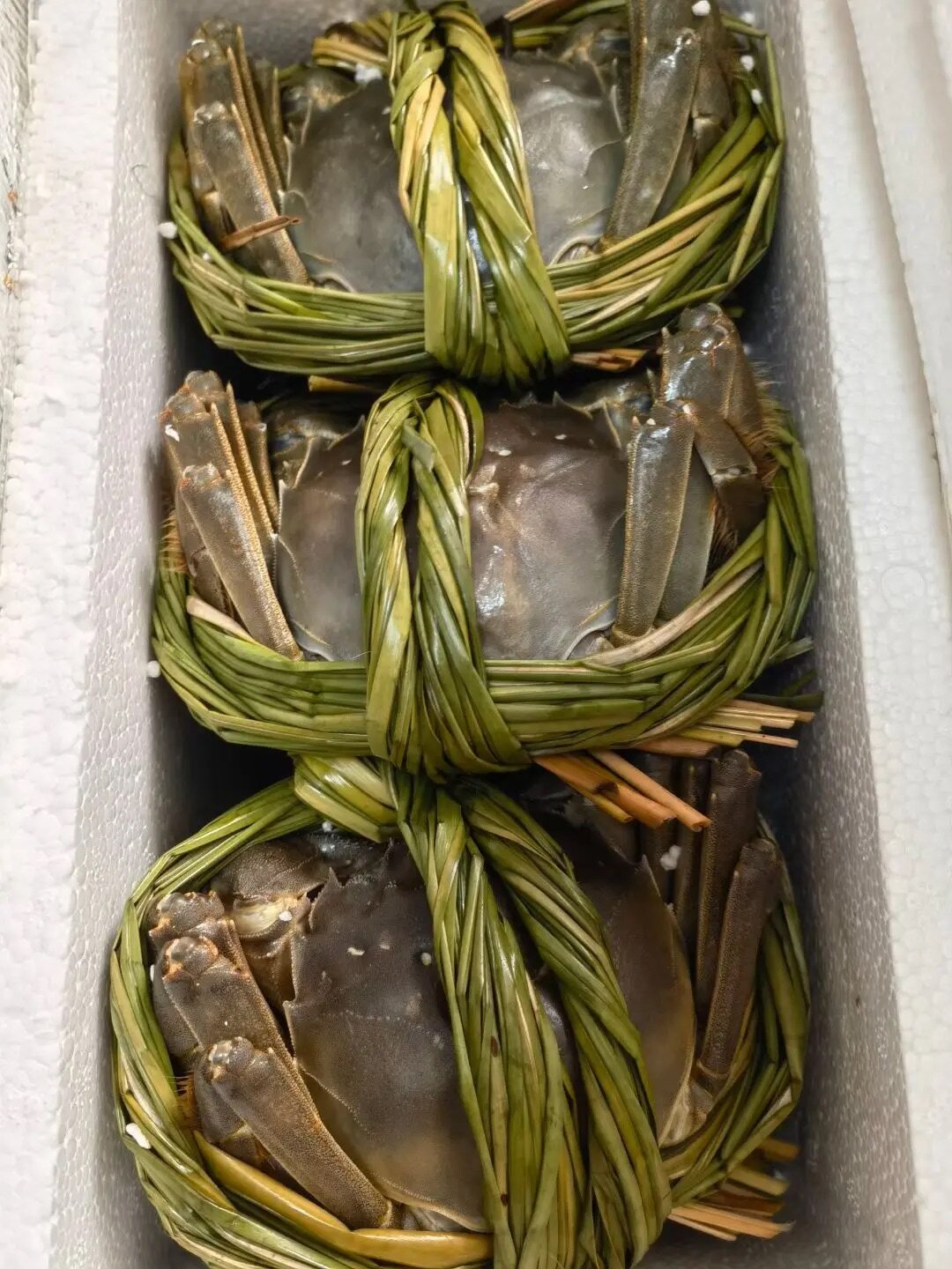 98e134eb109b28c9966bc15157c5bebd-sz_430335