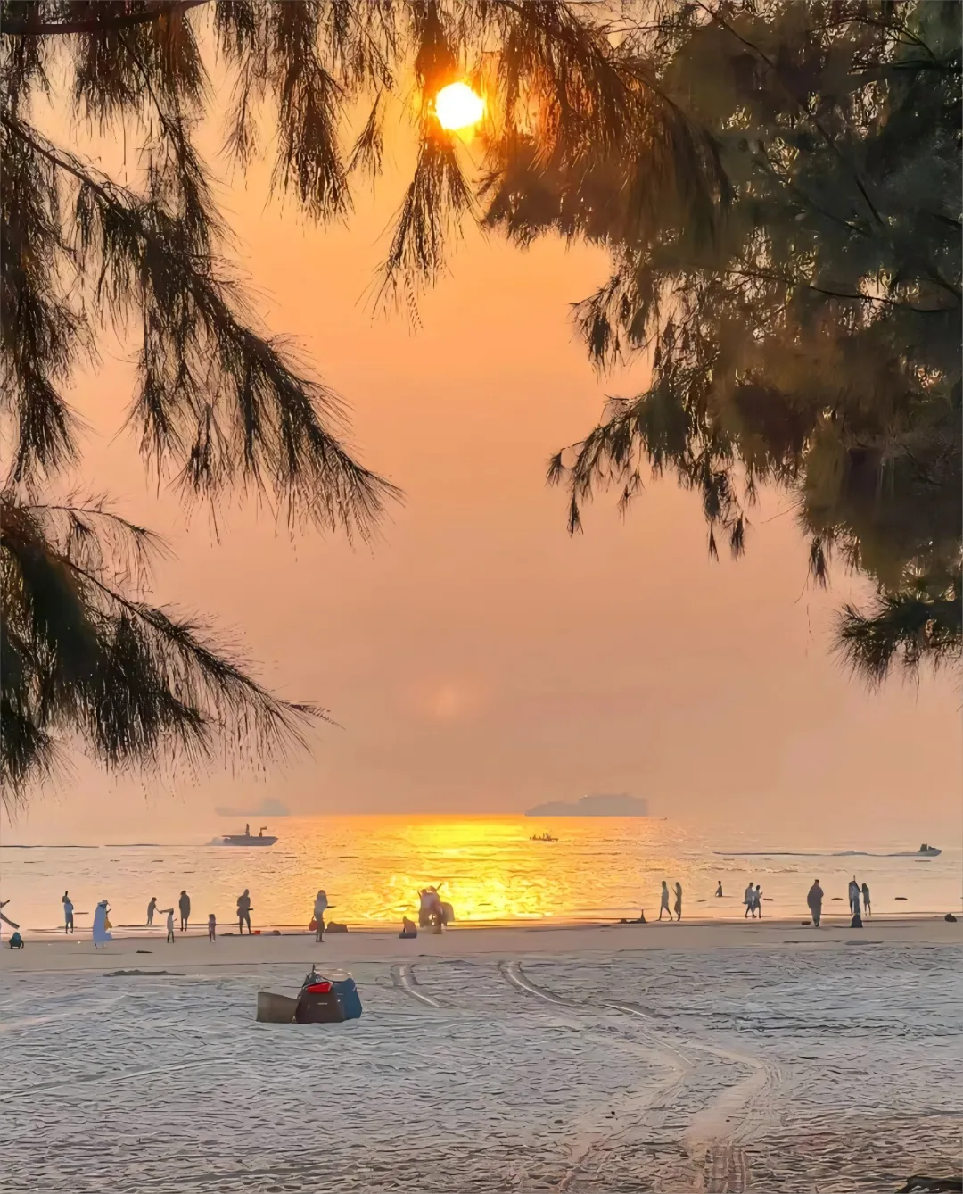 98fc5d1da3af016bd9ba2d89db32e1b5-sz_2863011 98fc5d1da3af016bd9ba2d89db32e1b5-sz_2863011