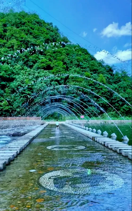 9917b7f62a30b1646a679e422f0c92f6-sz_456303