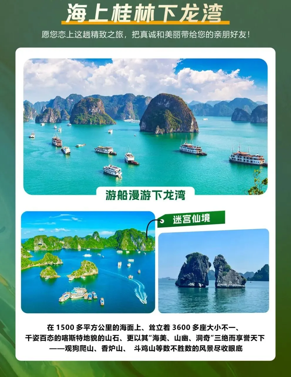 993ef4638780cb1026f9850dc8f04e42-sz_194843