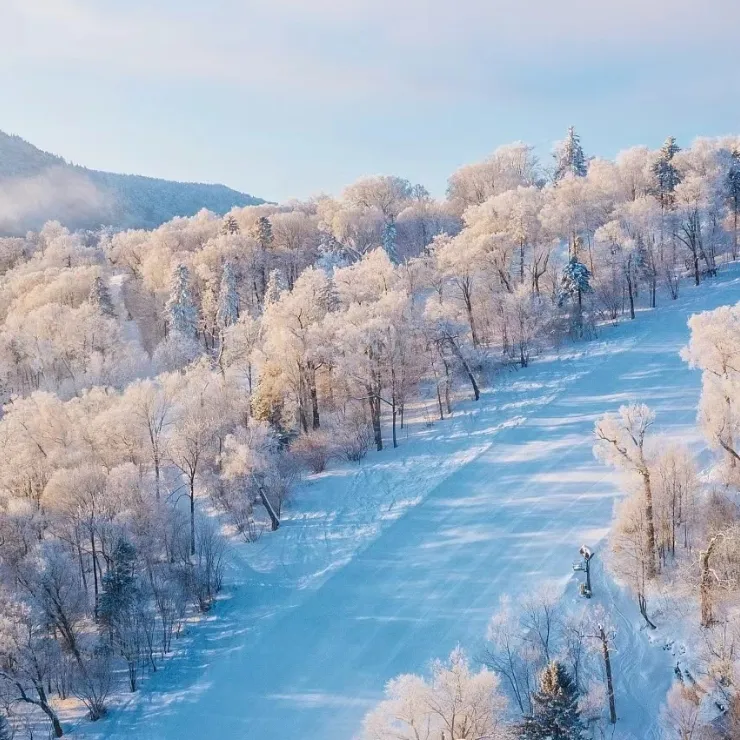 995a1a344594b9f1d8ced8644c537b90-sz_468240 995a1a344594b9f1d8ced8644c537b90-sz_468240