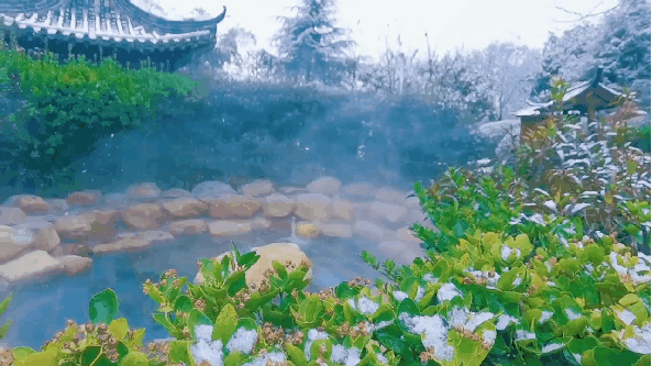 699元【温泉康养·曹洼大集·古城穿越】 鲁南温泉双汽四日游｜赶大集·吃大席·泡温泉·逛古城