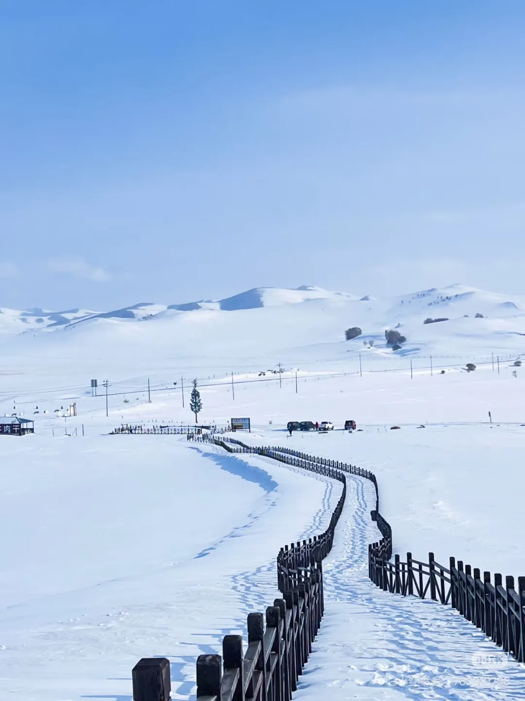 99699f1d589100161cf45b831845f148-sz_316044