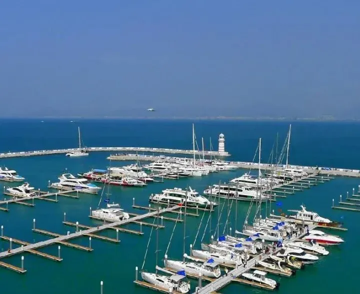 99856bc9dd038376d5f595387f8246bd-sz_62436