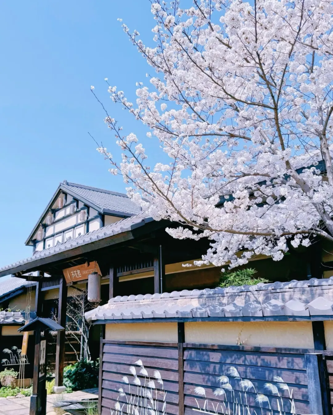 99a7157f2fb73869afd90a8beeaf4a15-sz_1585049