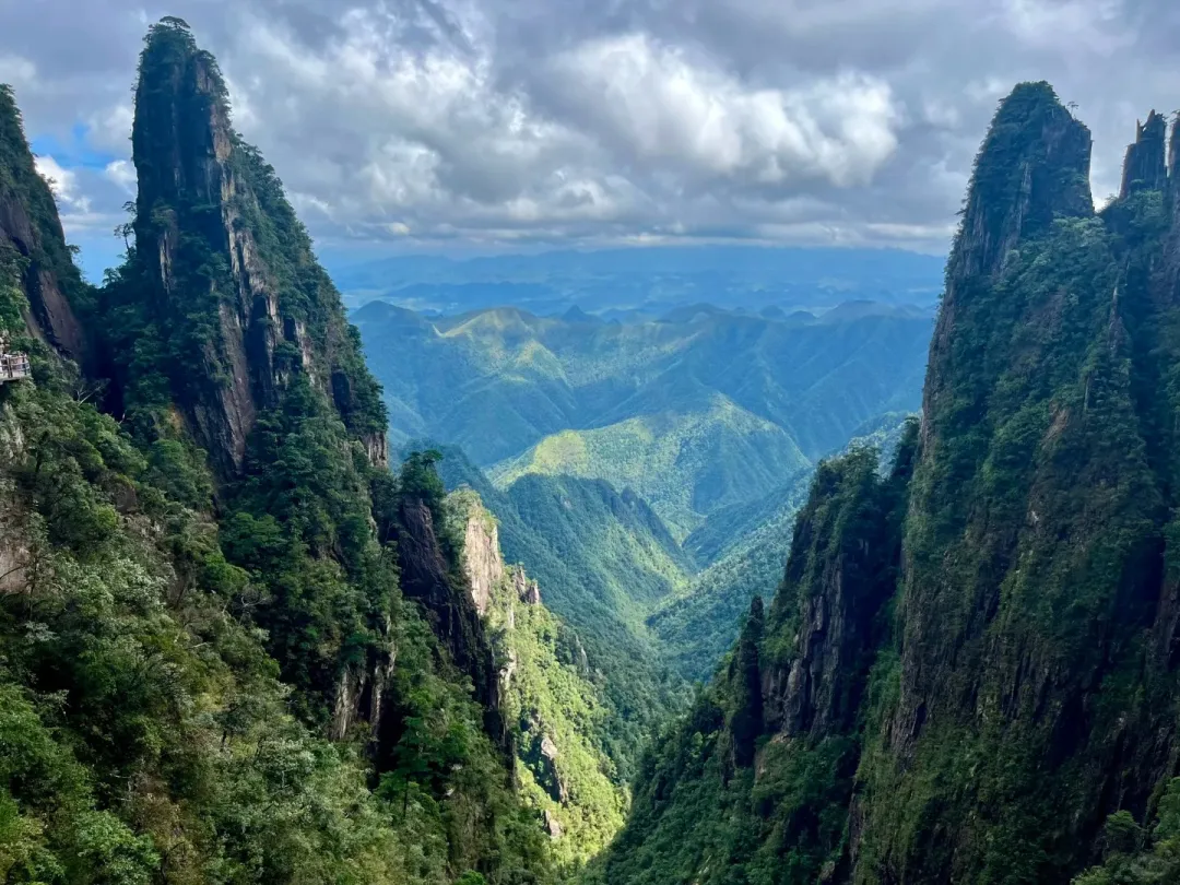 99ca6462b02f9671ce13c5ef8068f0b8-sz_538327