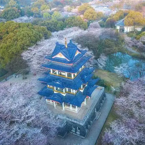 99d669ec6e788b37072bbe273a9d761e-sz_93270