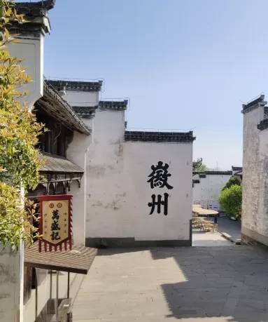 99e4a6ec0599d6cfb3693b98269496be-sz_315363