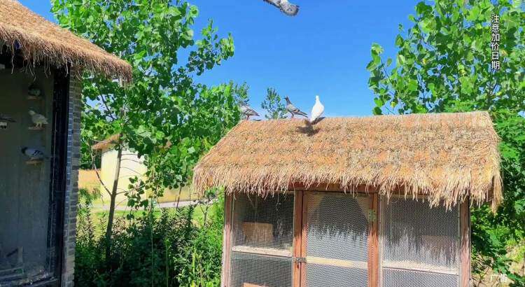 9XudZ8-5mfEBR-dIlt7WrEFFWq9_NElC 9XudZ8-5mfEBR-dIlt7WrEFFWq9_NElC