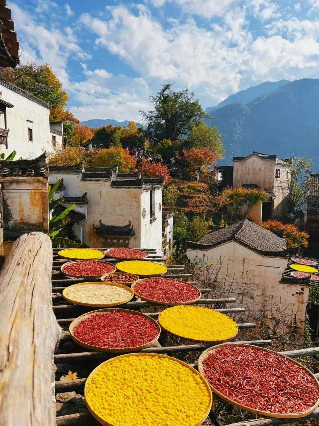 9a00abf9ea4bcacd6da1c41995b4d5e9-sz_3863343 9a00abf9ea4bcacd6da1c41995b4d5e9-sz_3863343