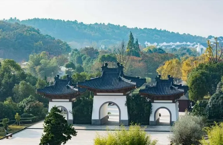 9a31212ce29a979945fe97b6ac2c05f6-sz_81411