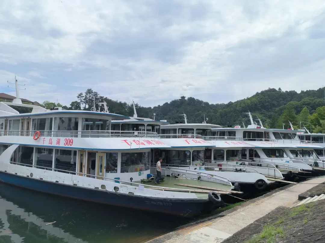 9a6e2e3c9bf32911bb1f8cd7130c2612-sz_587325