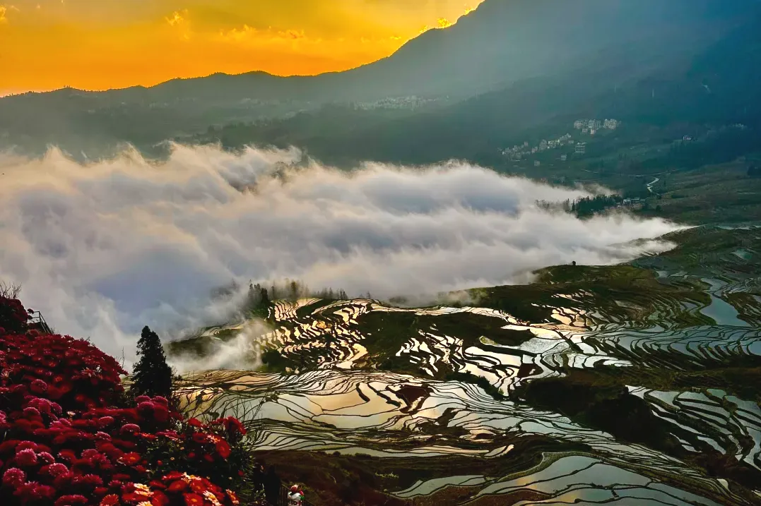 9a7a348a96ab5f57fff346d2491b9efa-sz_2084464