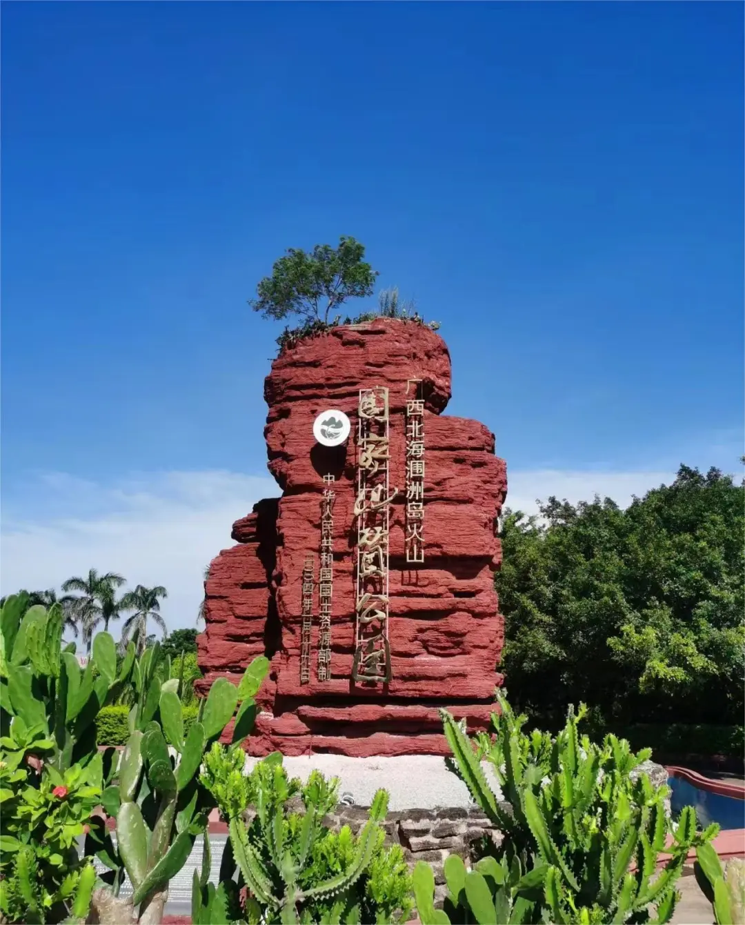 9aa61ee60d93a9d564b0f9bb44cd4f0c-sz_292739 9aa61ee60d93a9d564b0f9bb44cd4f0c-sz_292739