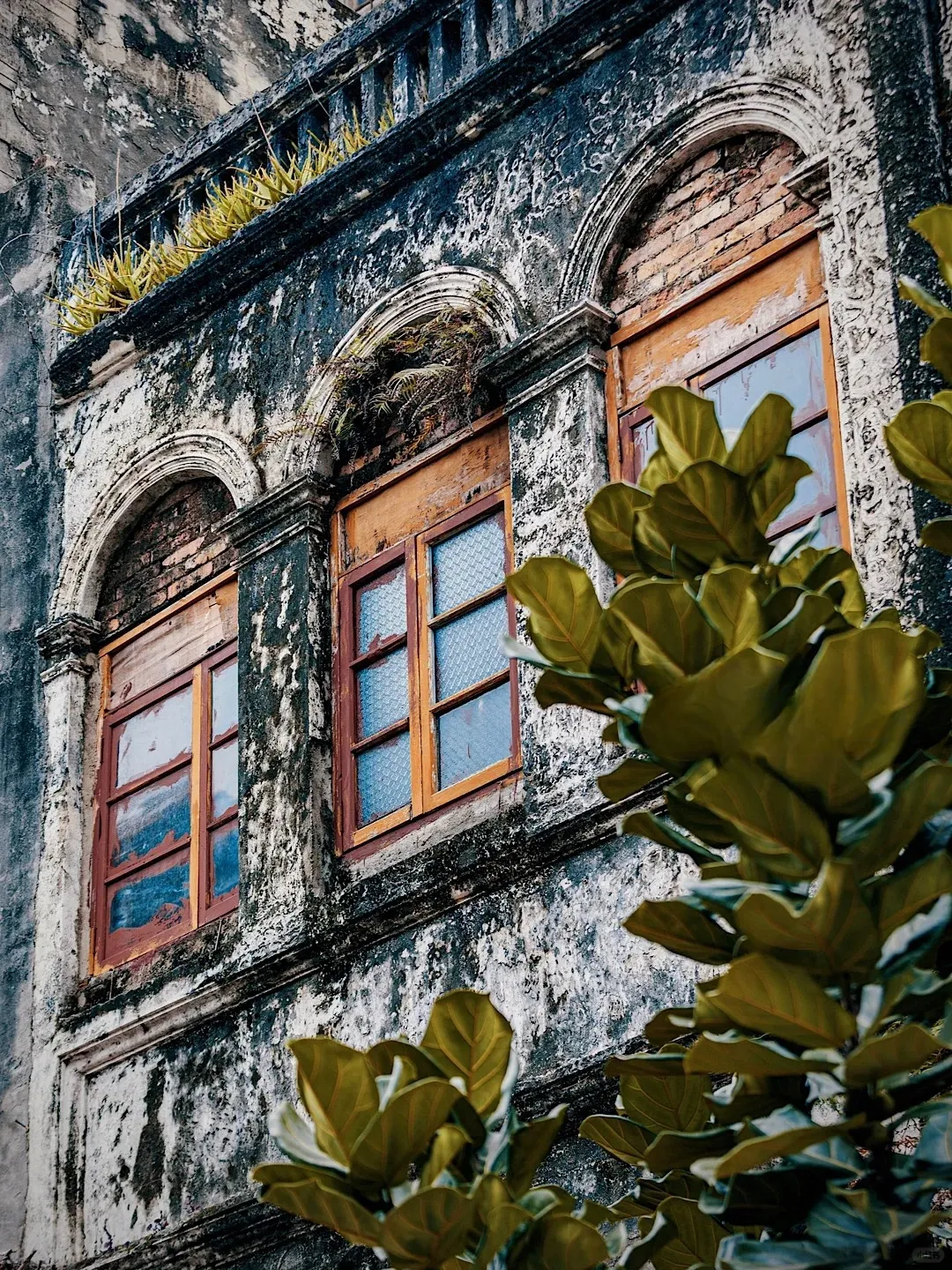 9ade3377aa92af5f40a77a8bbc2812b7-sz_986519