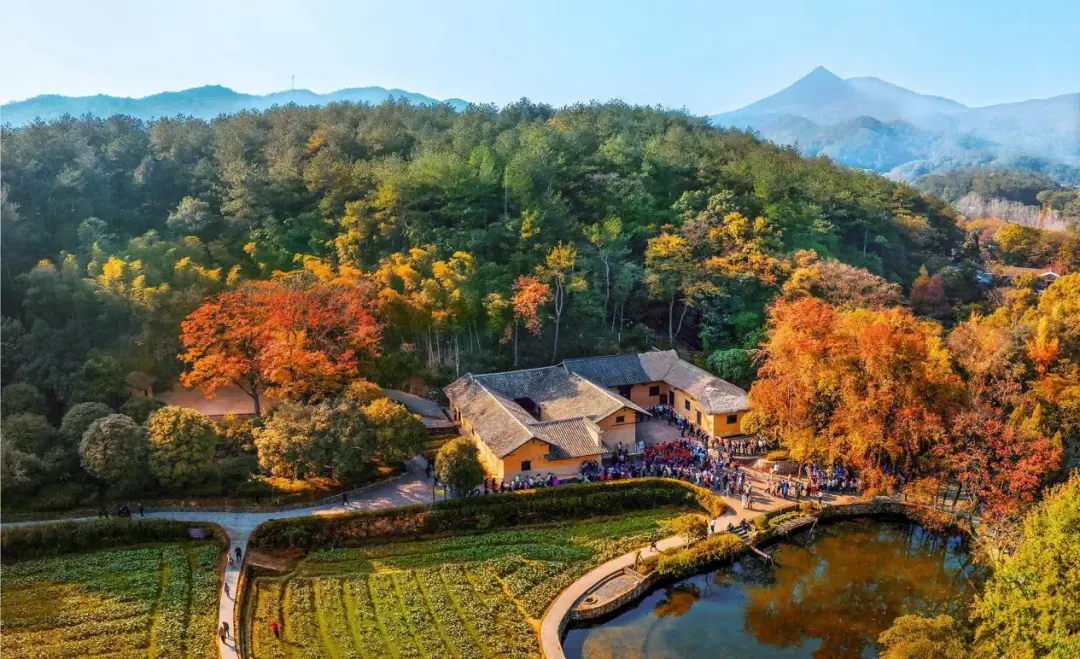 9b293b0109f6abeae1abb967b1047441-sz_1766233