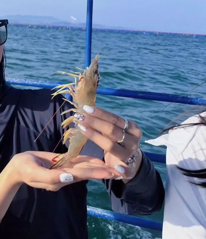 9b335d0ea77d5b7136f2134e54bf5266-sz_1227227-1 9b335d0ea77d5b7136f2134e54bf5266-sz_1227227-1