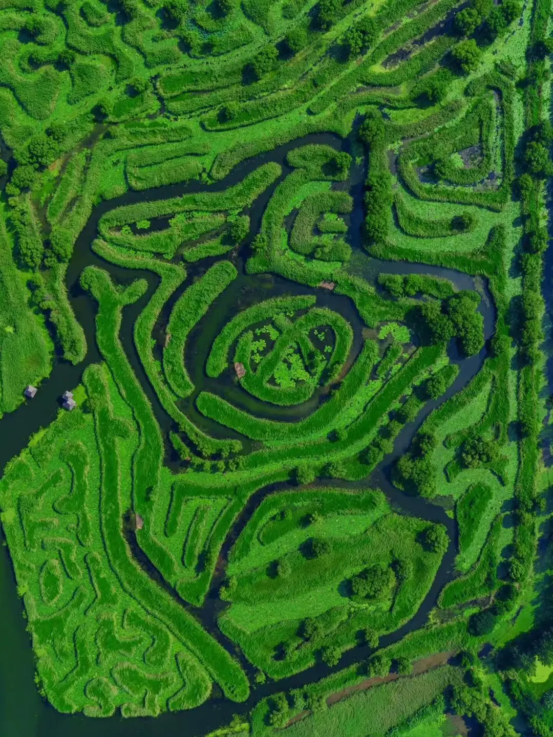 9b63ee33529931aedcbdc9d4d2e9bb0c-sz_514710-2