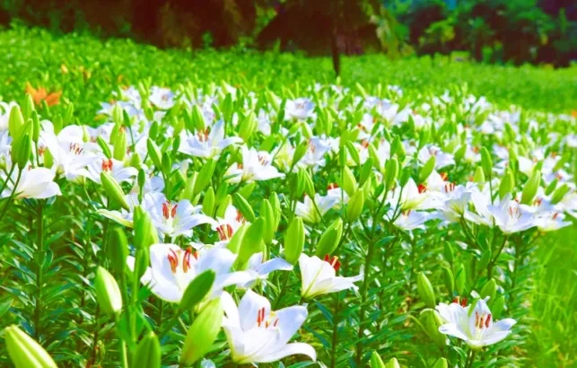 9b7e20b80bda49d7d60631e53177a5b2-sz_807504 9b7e20b80bda49d7d60631e53177a5b2-sz_807504