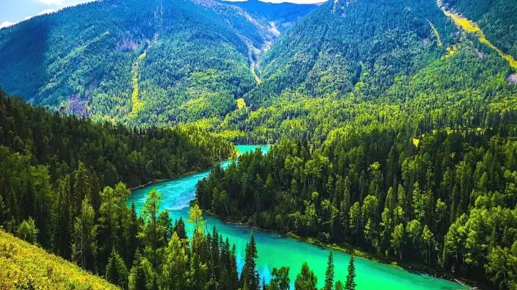 9b8dbb2d4eae3b8cca11f8f4250cfdb1-sz_273272