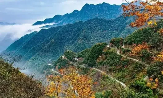 9b902e7f0312df786726ffa0eba0b415-sz_448168