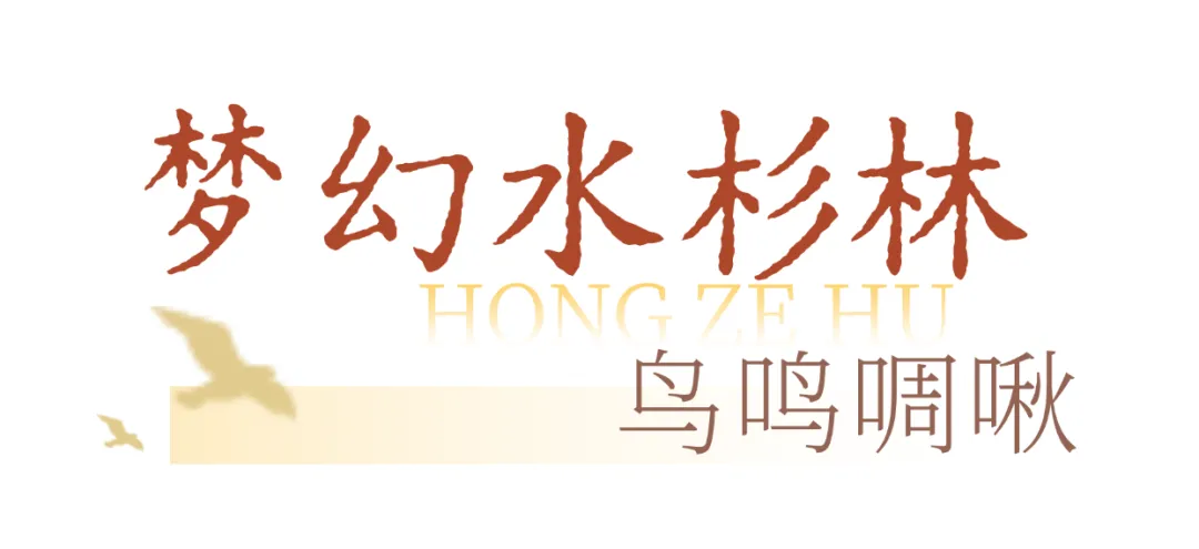 9ba54d4b43a1a4da16388a7162505a5b-sz_102785