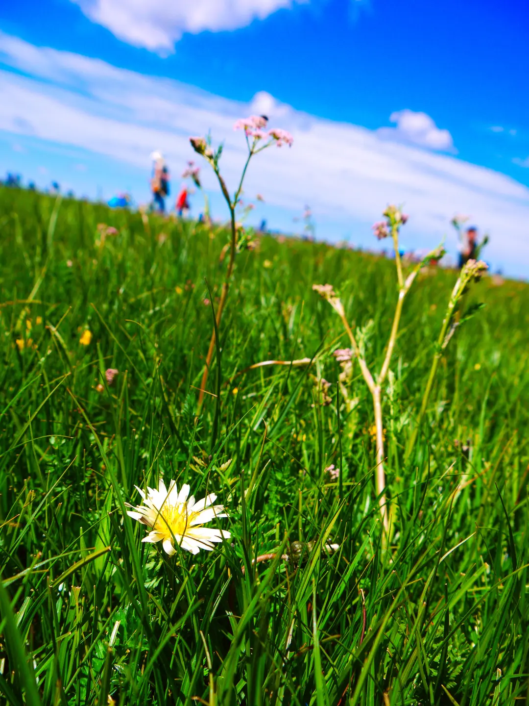 9c0f1e3f0b8d7b0306c213dbb7801434-sz_2038302 9c0f1e3f0b8d7b0306c213dbb7801434-sz_2038302