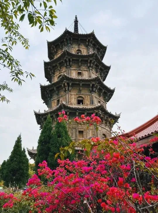 9c51c13c6b9881018428aa17973cc0b1-sz_116848