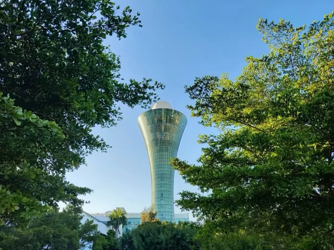 9c9713be1fd686ef9a784890b73c0f65-sz_773230