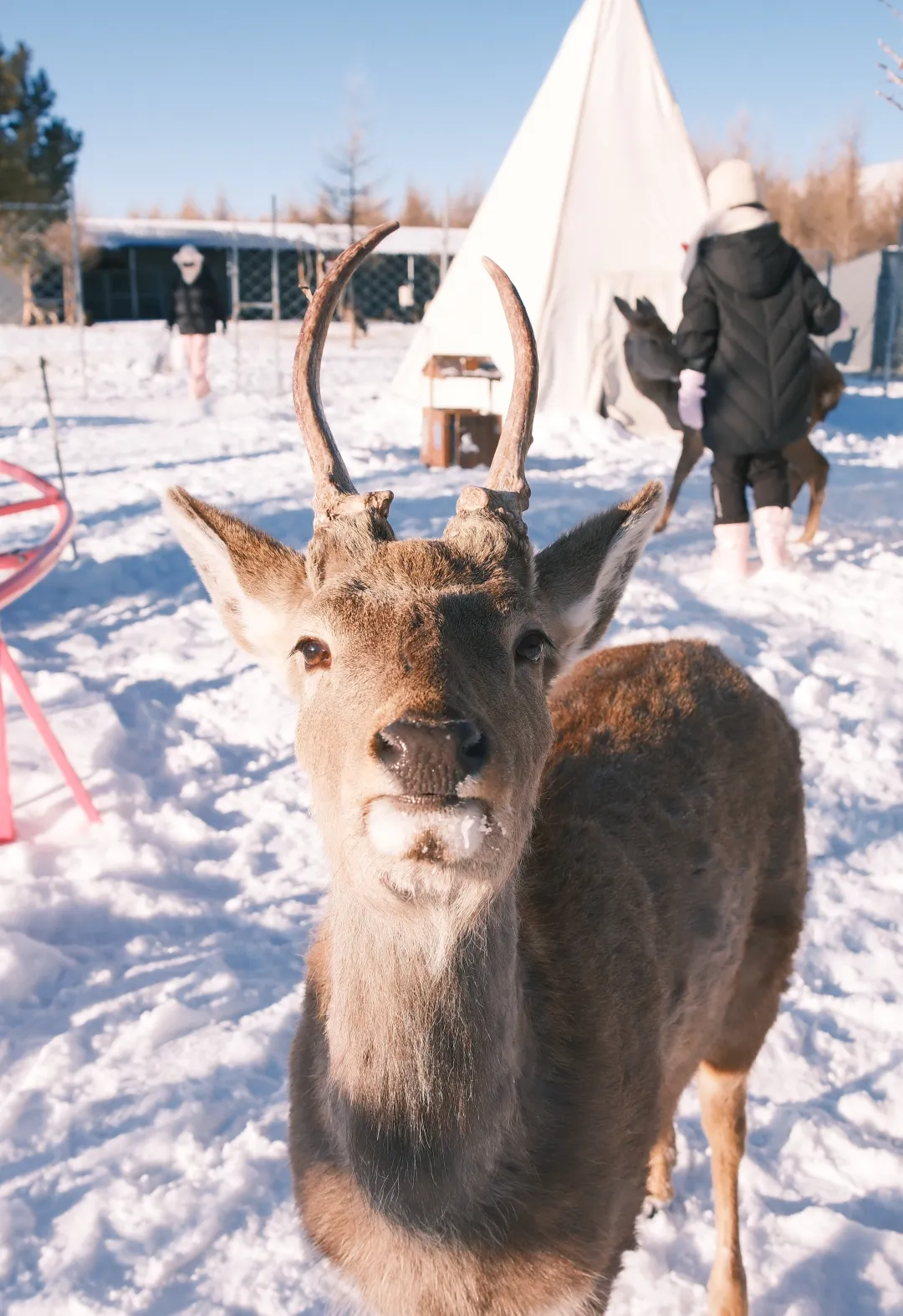 9d044be70427a64a6c8e879d62f58d0e-sz_4724443 9d044be70427a64a6c8e879d62f58d0e-sz_4724443