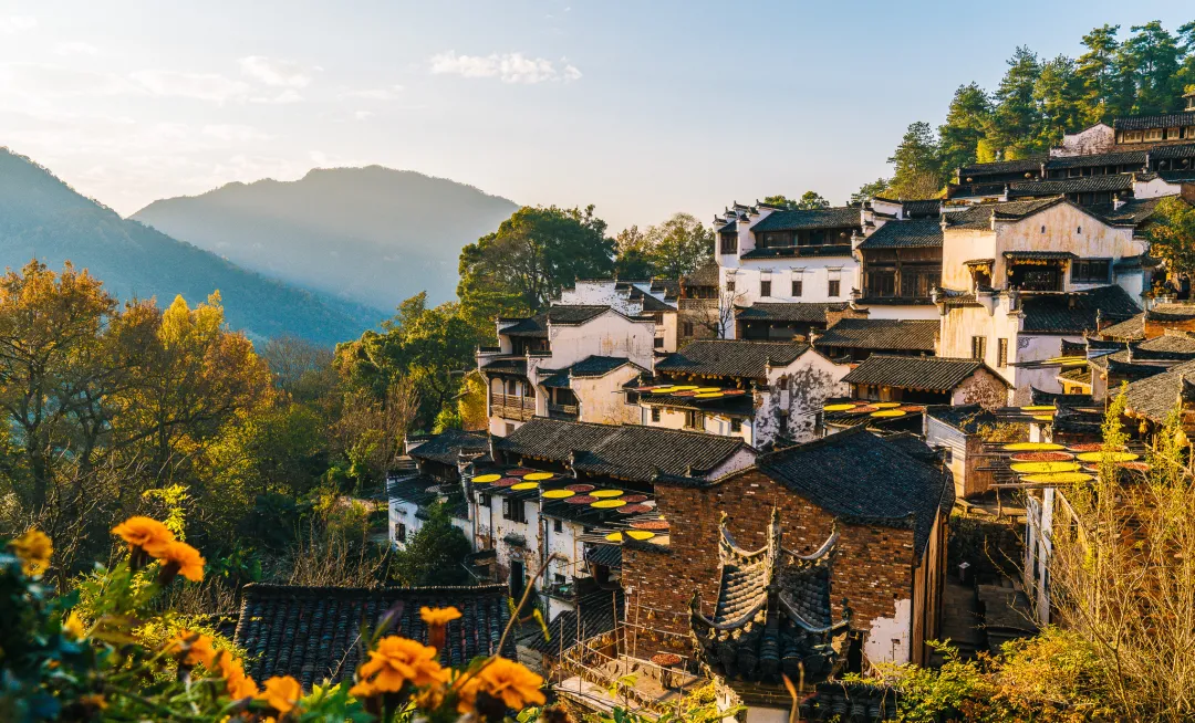 9d3313a6b008217ea8dae7716c38a309-sz_2152023 9d3313a6b008217ea8dae7716c38a309-sz_2152023