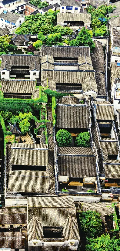 9d887fe63901551acab5d62ac68c03c5-sz_995265