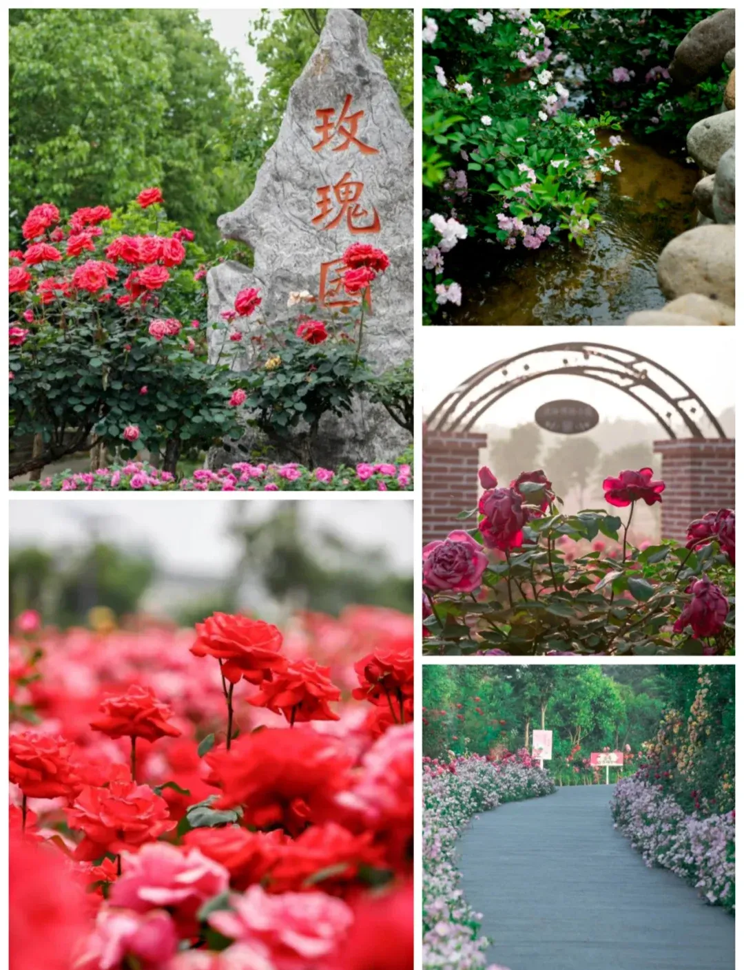 9e217c83a9e473d52135e347472147af-sz_2354204 9e217c83a9e473d52135e347472147af-sz_2354204