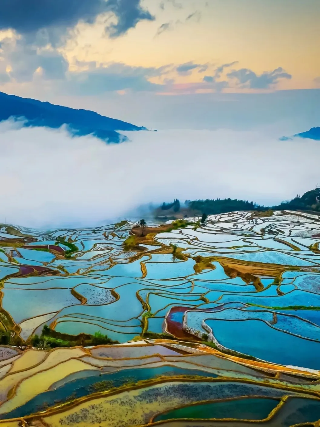 9e648719e7feb88b34189f97bb121628-sz_424207