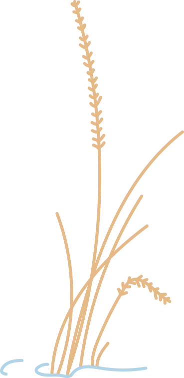 9ec4cbd98a1c81f8b2ae0f02014be24b_sz-36841-1